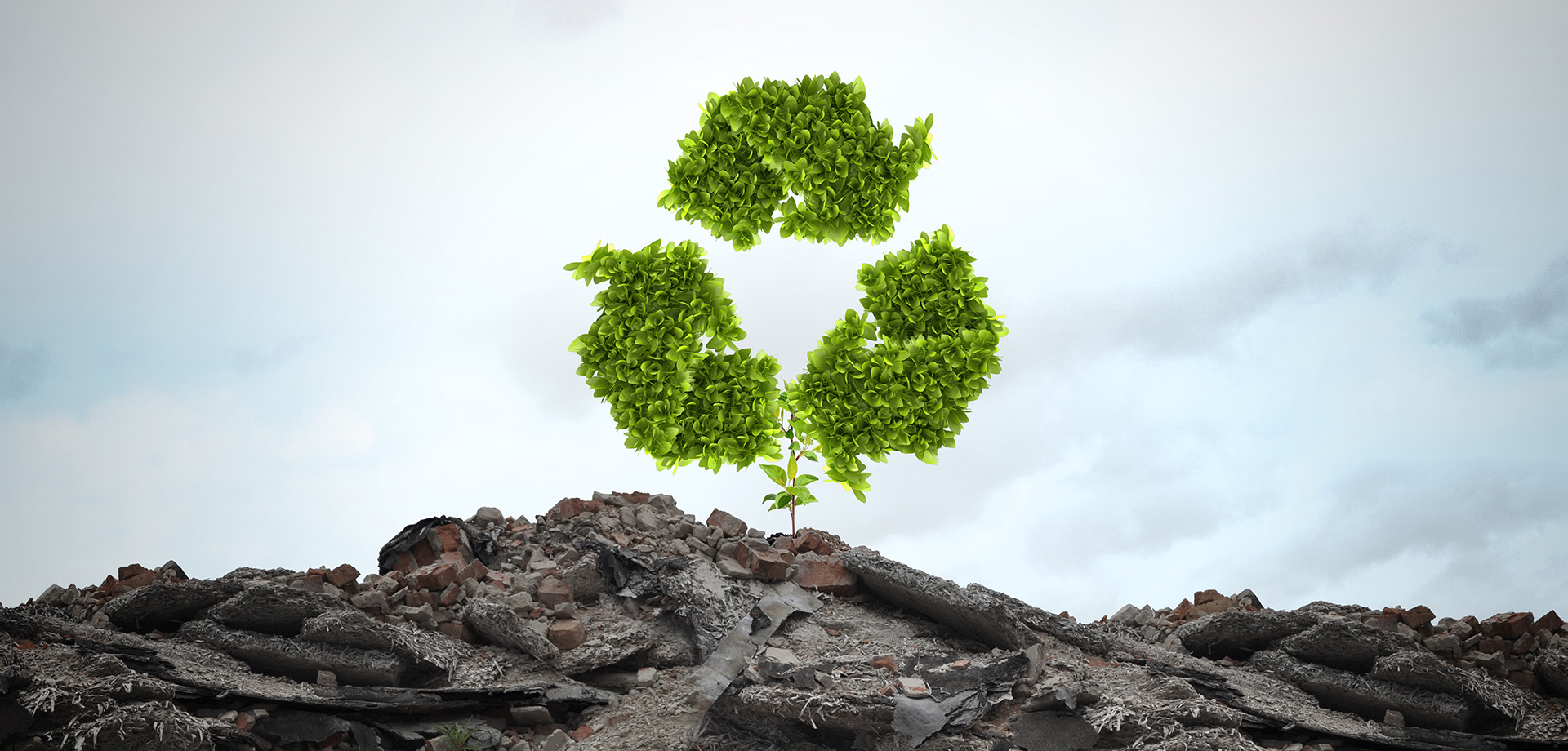 Environmental Monitoring